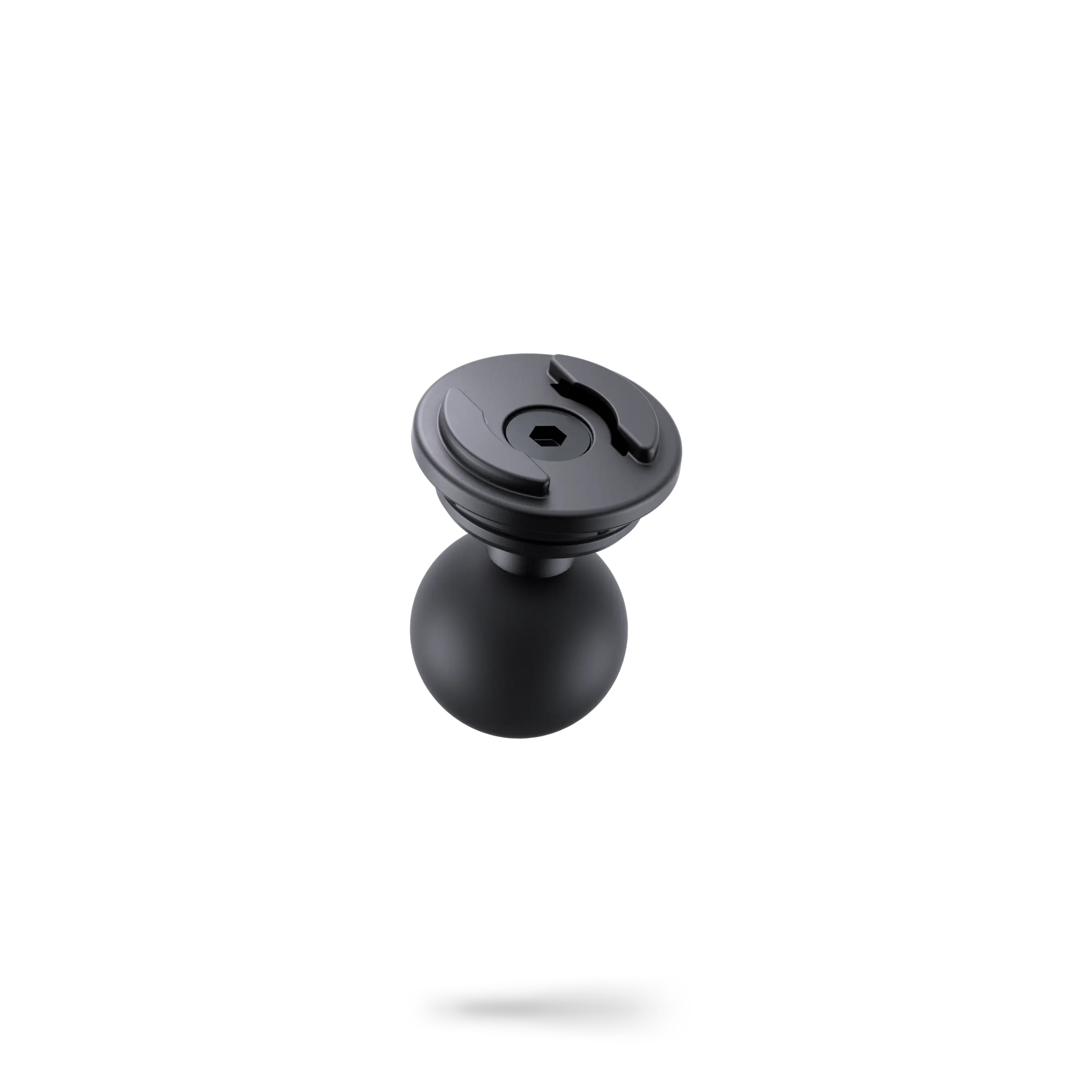 Miniatuur 1